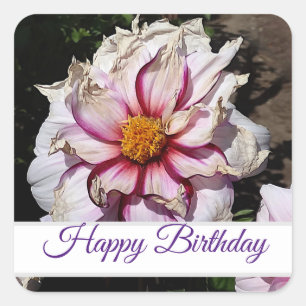 Happy Birthday Dahlia Edge of Joy #1 Stickers
