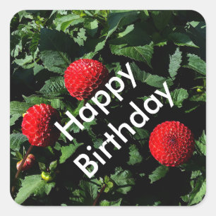 Happy Birthday Dahlia Irish Glow #1 Stickers