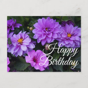 Happy Birthday Dahlia Lilac and Petunia Postcard