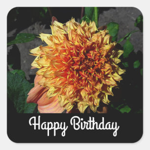 Happy Birthday Dahlia Sandia Brocade #1-2 Stickers