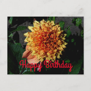 Happy Birthday Dahlia Sandia Brocade #1 Postcard