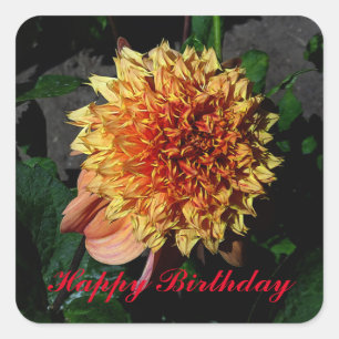 Happy Birthday Dahlia Sandia Brocade #1 Stickers