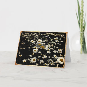 Happy Birthday, Daisies Card