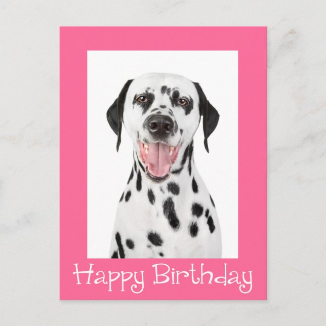 Happy Birthday Dalmatian Puppy Dog Post Card (Front)