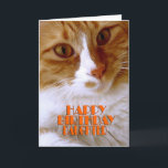 Happy Birthday Daughter Sweet Cat Card<br><div class="desc">Wish your daughter a "Happy Birthday",  with this cute card from my "Kitty Koolness" Collection,  featuring an adorable orange and white kitty. The inside can be kept as is,  or personalised by you for that added touch. Photo by designer.</div>