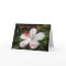 Happy Birthday Daughter White Hibiscus Card