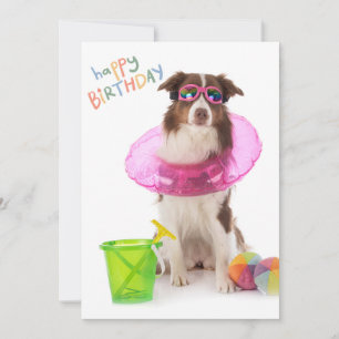 Happy Birthday Dawg Beach Pool Dog in Sunglasses  Holiday Card