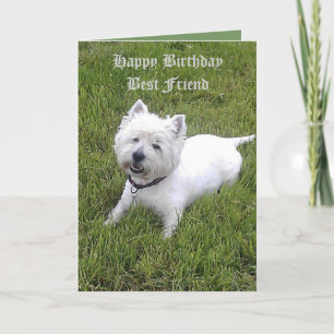 Happy Birthday Dear Friend Card