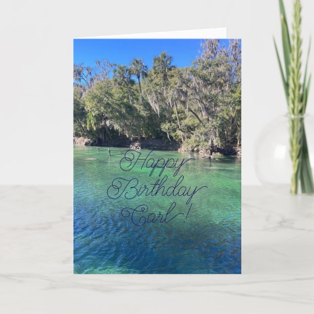 Happy Birthday, Dear Nephew, Card (Front)