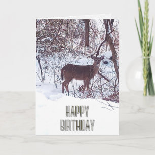 Happy Birthday Deer Photo Nature Card