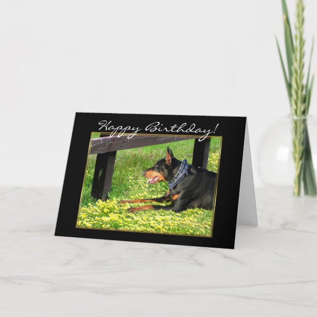 Happy Birthday Doberman Pinscher greeting card (Front)