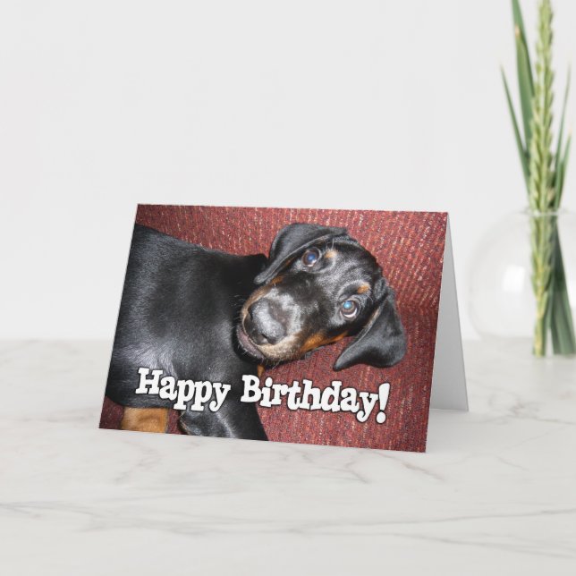 Happy Birthday - Doberman Pinscher Puppy Card (Front)