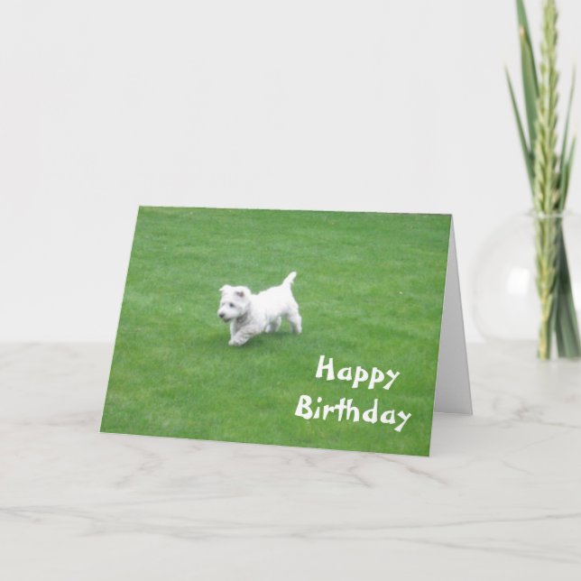happy birthday dog card (Front)