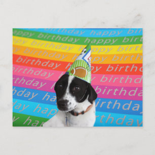 Happy Birthday Dog Colourful Text Banner Postcard