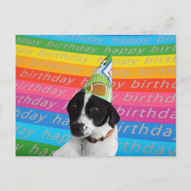 Happy Birthday Dog Colourful Text Banner Postcard (Front)