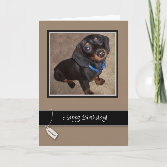 Happy Birthday, Dog, Dachshund Card (Front)