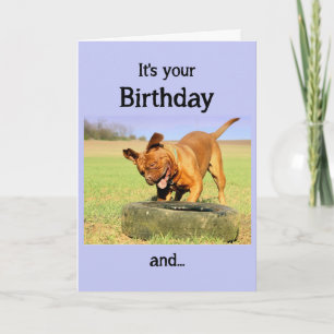 Happy Birthday Dog Having Fun time Card