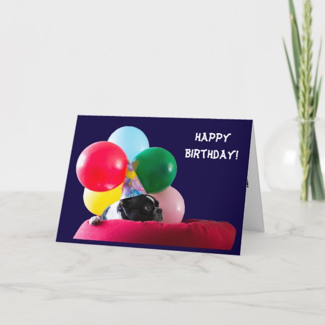 Happy Birthday Dog Humour with Balloons Card (Front)