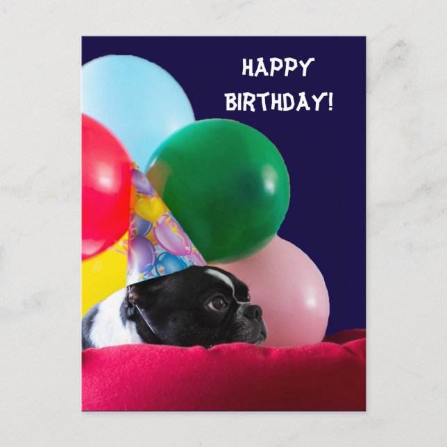Happy Birthday Dog Humour with Balloons Postcard (Front)