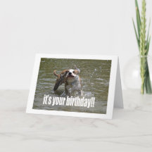 HAPPY BIRTHDAY DOG LOVER CARD