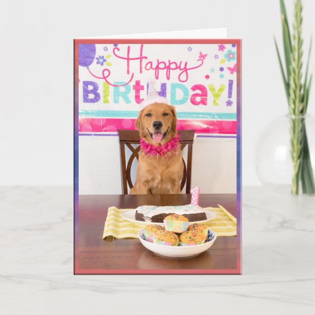 Happy Birthday Dog Party with My Dawg Card (Front)