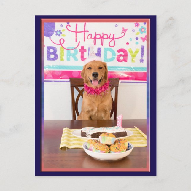 Happy Birthday Dog Party with My Dawg Invitation Postcard (Front)
