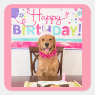Happy Birthday Dog Party with My Dawg Square Sticker
