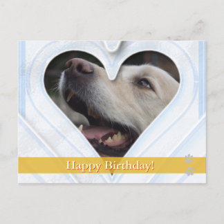 Happy Birthday! -  dog postcard