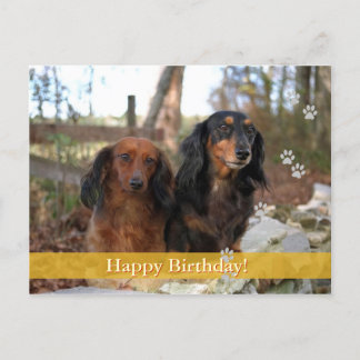 Happy Birthday! -  dog postcard