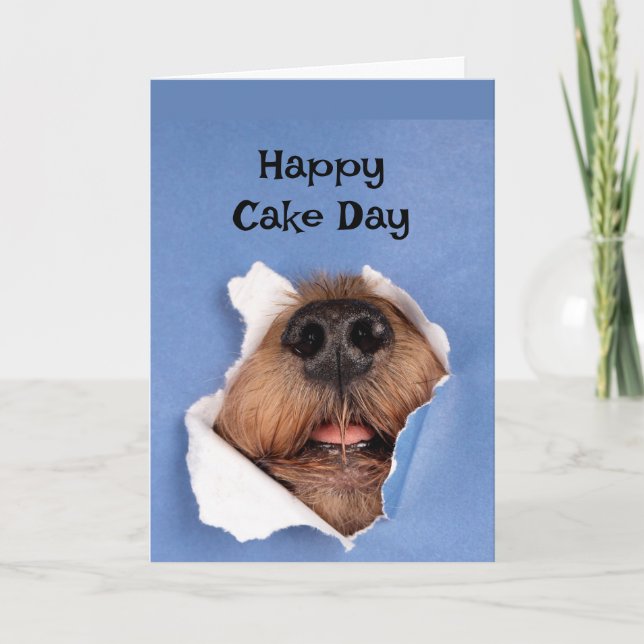 Happy Birthday Dog smelling Cake Animal Fun Card (Front)