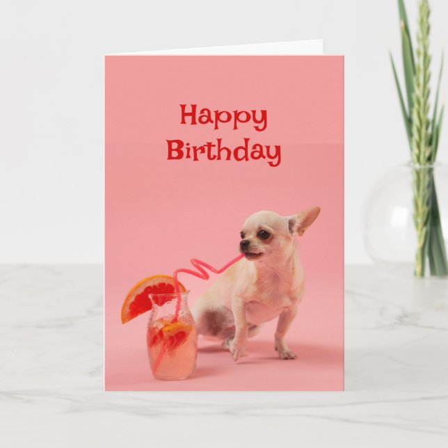 Happy Birthday Dog with Cocktail Drink Celebrate Card (Front)
