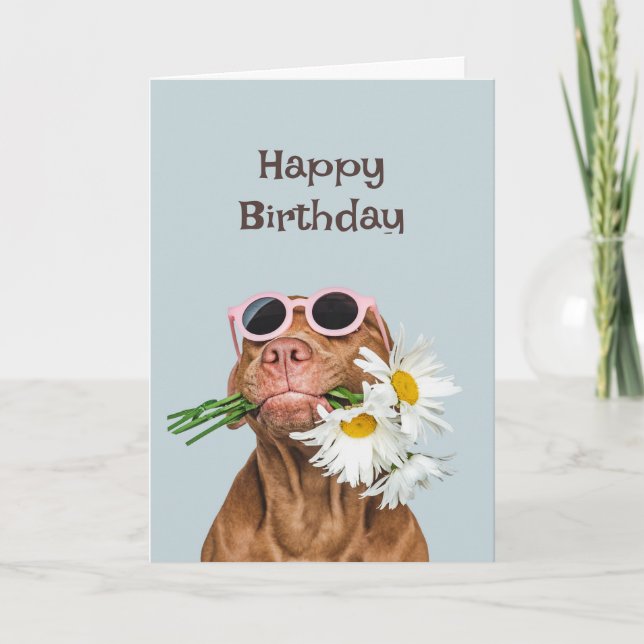 Happy Birthday Dog with Flowers Humour Animal Card (Front)