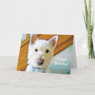 Happy Birthday Doggone It! With Westie Dog Card