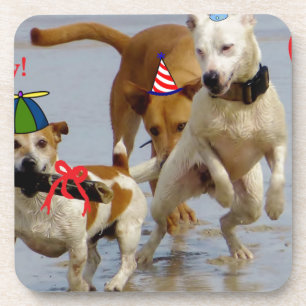 happy birthday dogs coaster