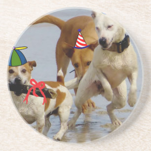 happy birthday dogs coaster
