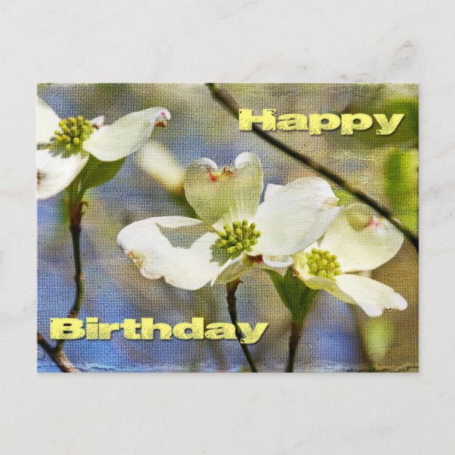 Happy Birthday - Dogwood Blossoms Postcard (Front)