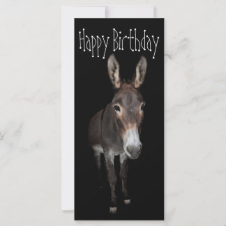 Happy Birthday Donkey Card