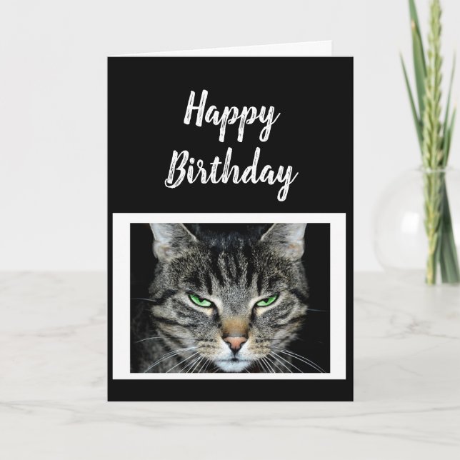 Happy Birthday Don't Believe it's Better Fun Humou Card (Front)