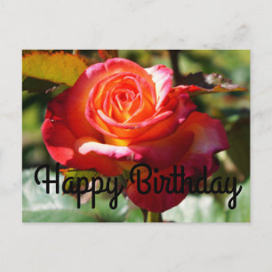Happy Birthday Dream Come True Rose #2 Postcard