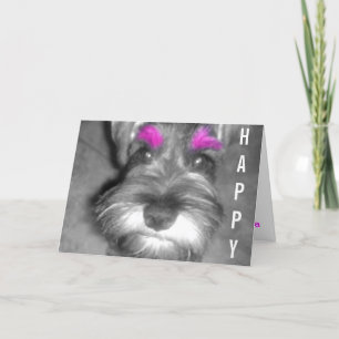Happy Birthday Dude Miniature Schnauzer Puppy Card