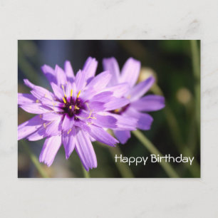 Happy birthday, elegant purple daisy flower postcard