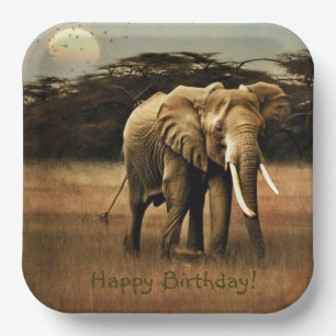 Happy Birthday Elephant Paper Plate