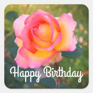 Happy Birthday Elle Rose #2 Stickers