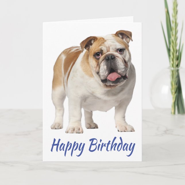 Happy Birthday English Bulldog Puppy Dog Card (Front)