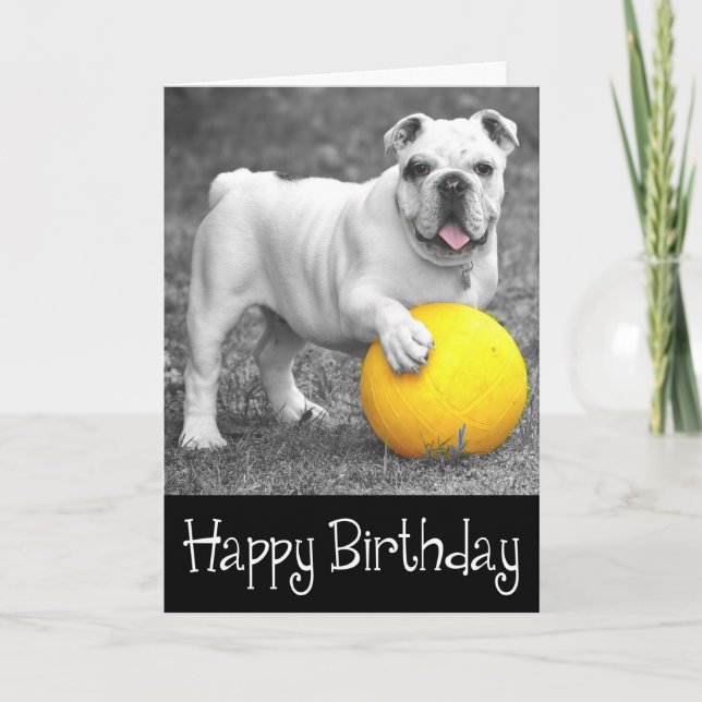 Happy Birthday English Bulldog Puppy Dog Card (Front)
