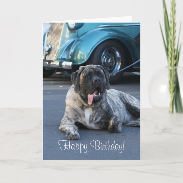 Happy Birthday English Mastiff Greeting Card (Front)