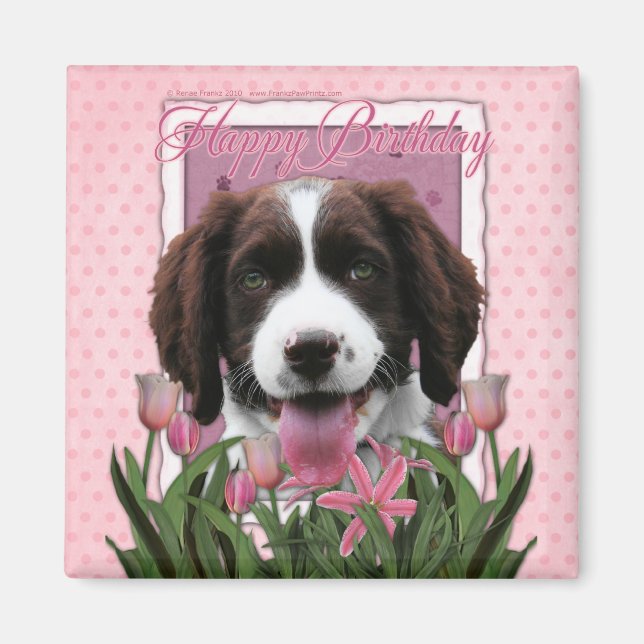 Happy Birthday - English Springer Spaniel - Baxter Magnet (Front)