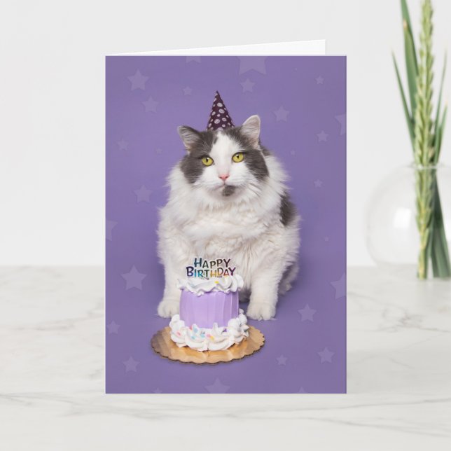 Happy Birthday Fat Cat With Cake Humour Holiday Card (Front)