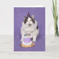 Happy Birthday Fat Cat With Cake Humour
