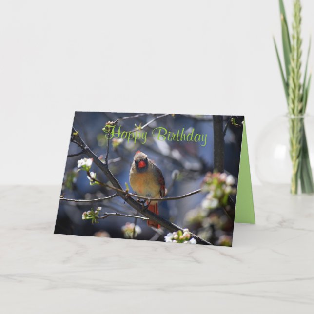 Happy Birthday Female Cardinal in Flowering Tree Card (Front)